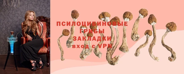 spice Алзамай