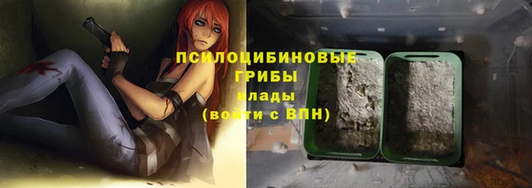 spice Алзамай